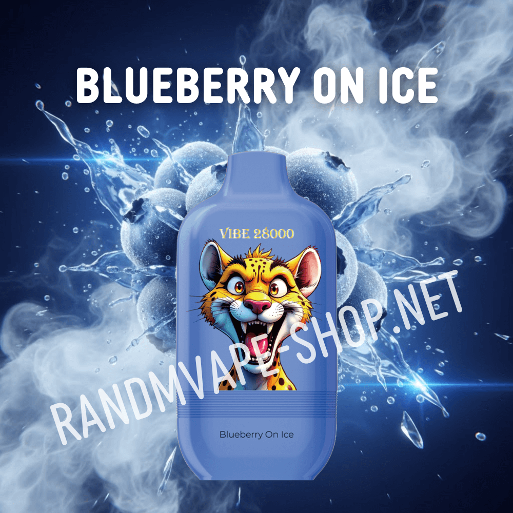 Fumot RandM Vibe 28000 Blueberry On Ice
