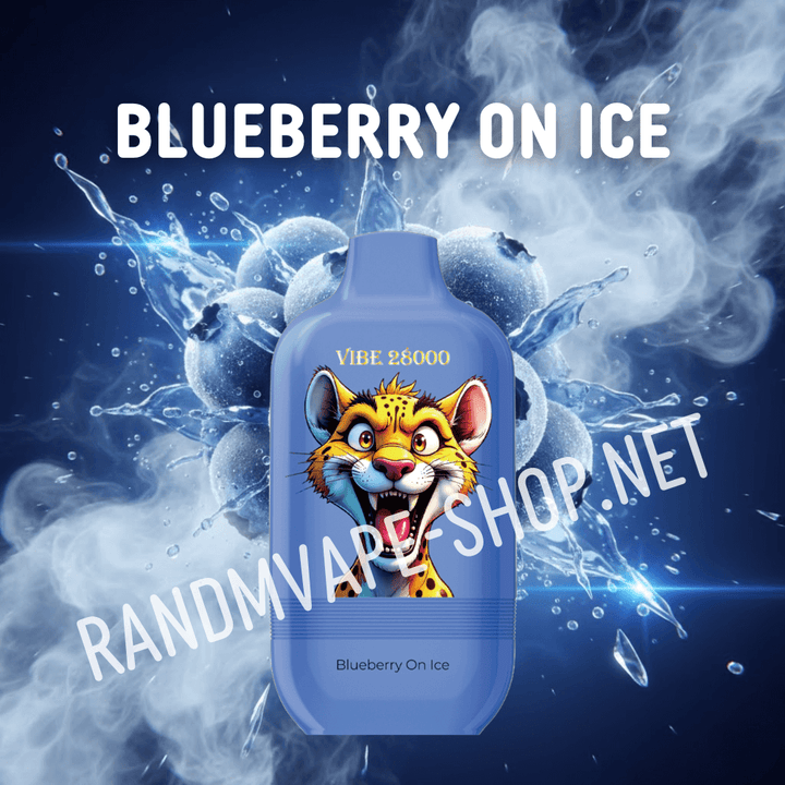 Fumot RandM Vibe 28000 Blueberry On Ice