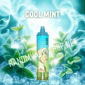 Cool mint randm 15000 tornado vape
