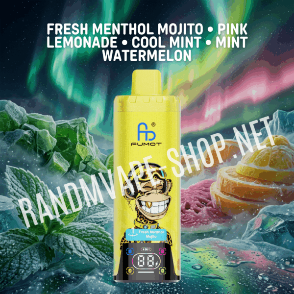 Fumot RandM Eco 4in1 80000 Fumot randm 4 in 1 fresh menthol mojito pink pemonade cool mint mint watermelon