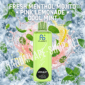 Randm 3 in 1 fresh menthol mojito pink lemonade cool mint