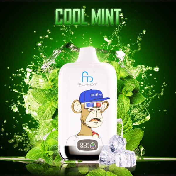 ORIGINAL RANDM DIGITAL BOX 12000 Vape Randm tornado 12000 cool mint