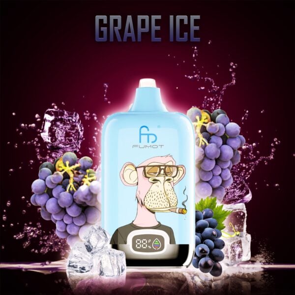 ORIGINAL RANDM DIGITAL BOX 12000 Vape Randm tornado 12000 grape ice