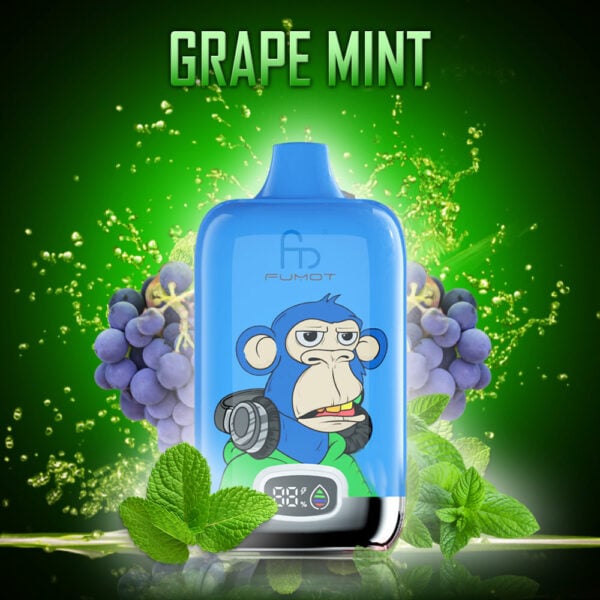 ORIGINAL RANDM DIGITAL BOX 12000 Vape Randm tornado 12000 grape mint
