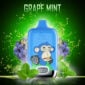 Randm tornado 12000 grape mint