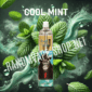 Randm tornado 7000 cool mint