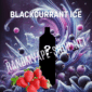 Randm tornado shisha 10000 blackcurrant ice