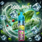 Randm tornado vape 30000 cool mint