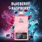Randm vape 35000 blueberry raspberry