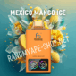 Randm vape 35000 mexico mango ice