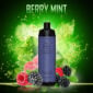 Randm tornado shisha 10000 berry mint