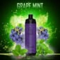 Randm tornado shisha 10000 grape mint