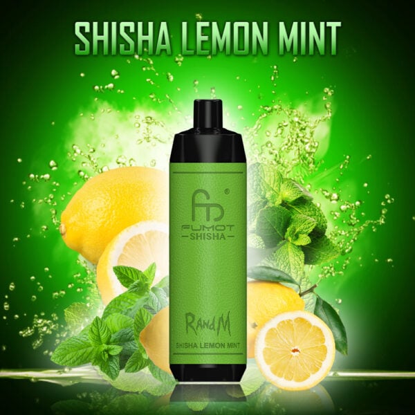 RANDM SHISHA 10000 Randm tornado shisha 10000 lemon mint special