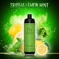 Randm tornado shisha 10000 lemon mint special