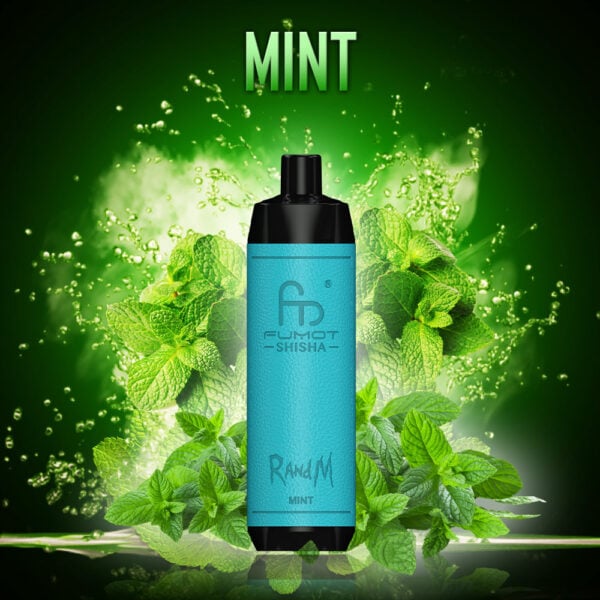RANDM SHISHA 10000 Randm tornado shisha 10000 mint