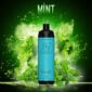 Randm tornado shisha 10000 mint
