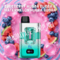Randmvape shop fumot randm 2in1 eco blueberrs hubba bubba watermelon hubba bubba