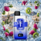 Randmvape shop fumot randm 2in1 eco cactus ice cactus kiwi