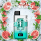 Randmvape shop fumot randm 2in1 eco cool mint watermelon ice